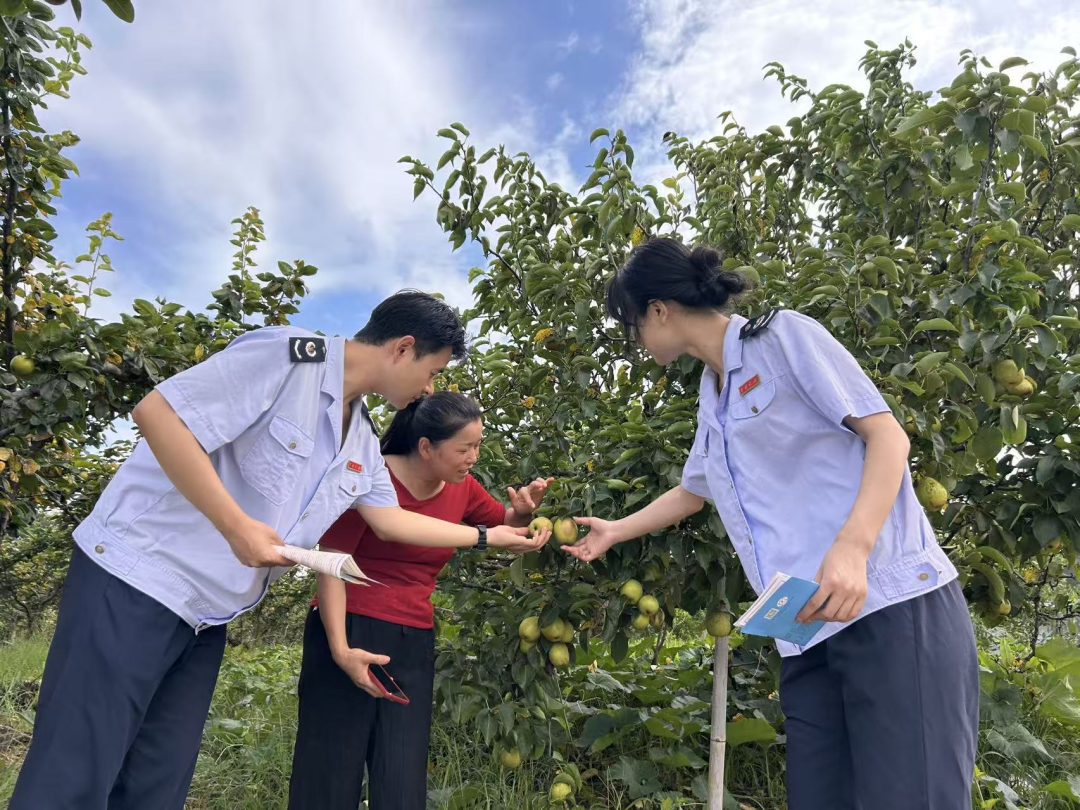税务合规规范辅导(税务合规的规则体系)玉树市