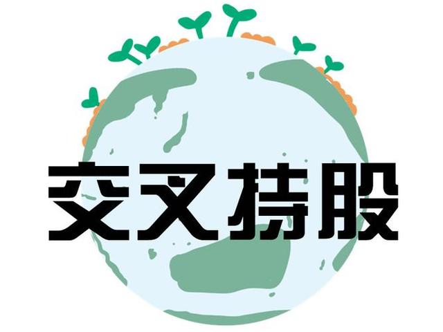 交叉持股安排设计(交叉持股怎么计算持股比例)玉树市