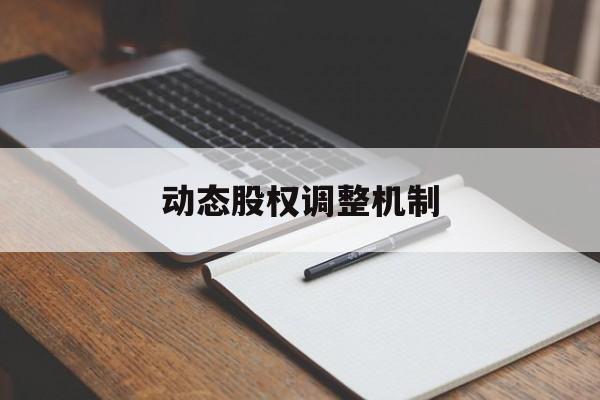 动态股权调整机制(股权动态调整机制和退出机制)玉树市