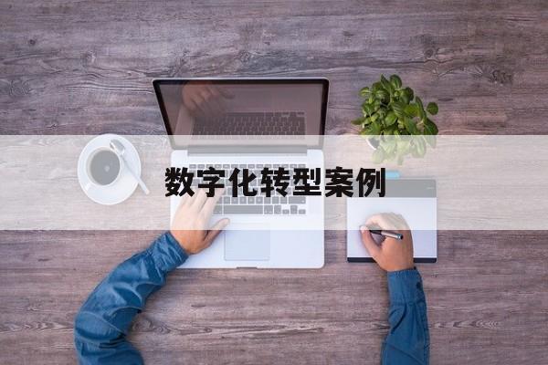 数字化转型案例(数字化转型案例公司)玉树市