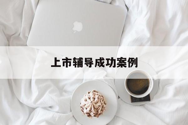 上市辅导成功案例(上市辅导成功后肯定会上市吗)玉树市