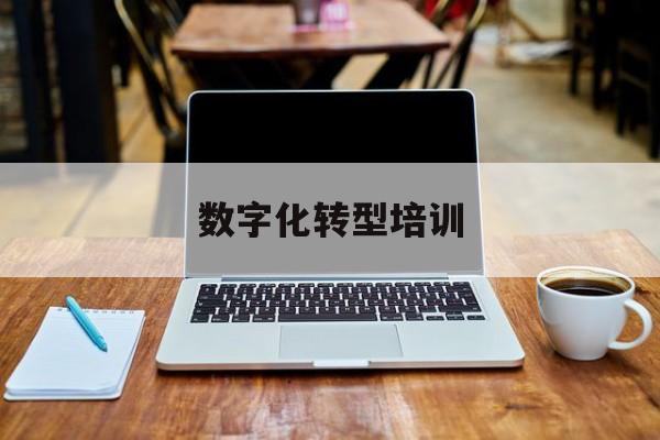 数字化转型培训(数字化转型培训班)玉树市
